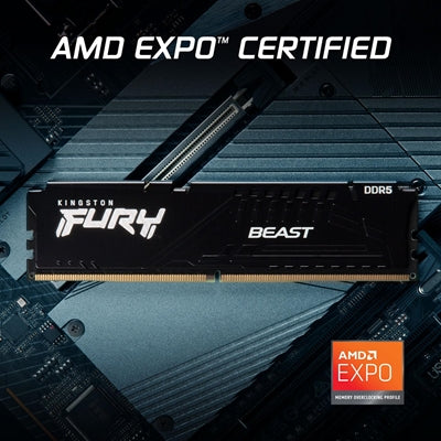 Kingston FURY Beast KF560C36BBE2-16 16GB DDR5 6000MT/s Desktop Memory Module
