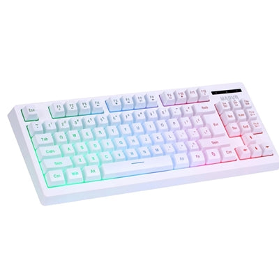 Marvo Scorpion CM310 Loot 30 3 in 1 RGB Wired Gaming UK Layout TKL Keyboard, Mouse and Mat Bundle (White) - PC Gear UK