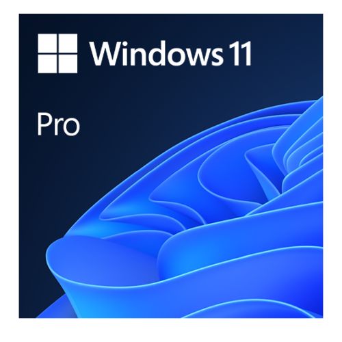 Microsoft Windows 11 Professional 64-bit, OEM DVD, Single Copy - PC Gear UK