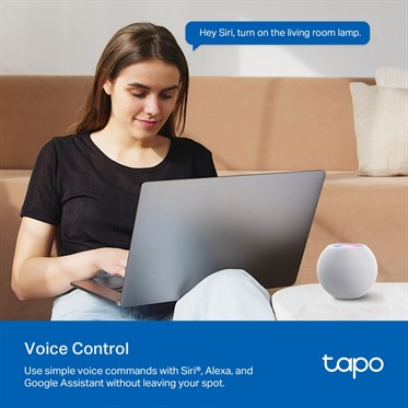 TP-Link Tapo P110M Mini Smart Wi-Fi Plug with Energy Monitoring | Matter | UK