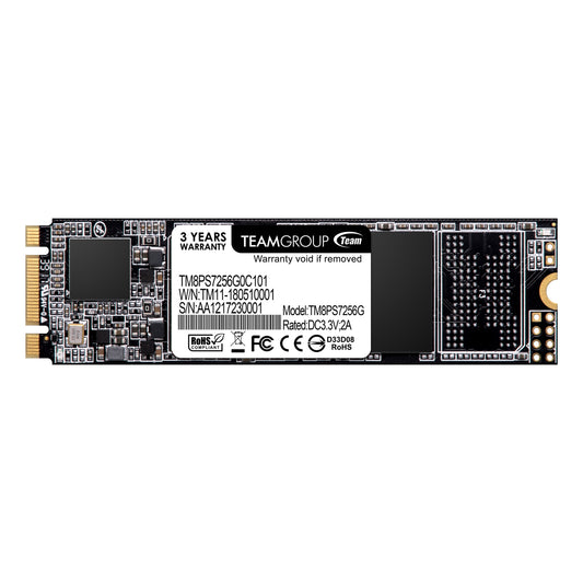 256GB MS30 M.2 SATA SSD