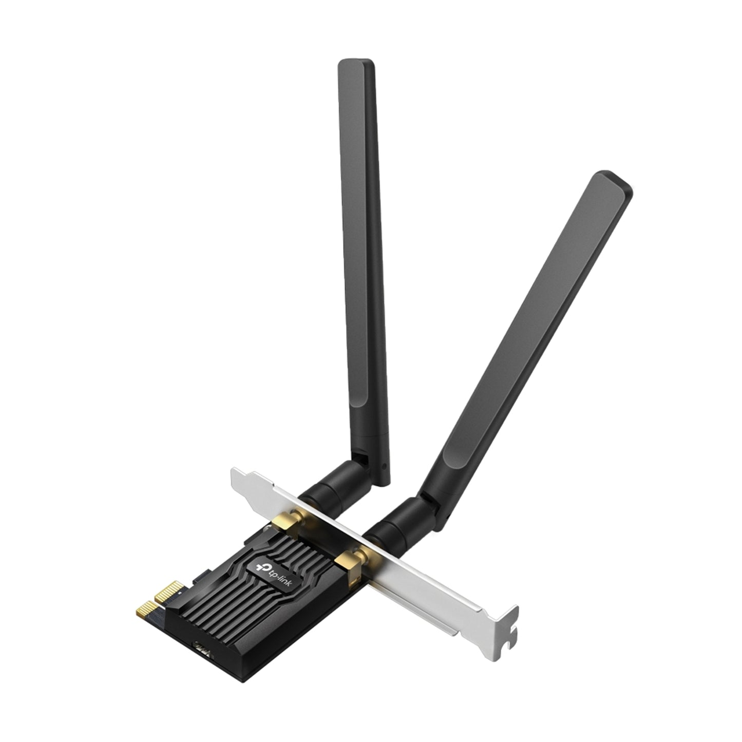 nptpl-archert4e-hg.jpg